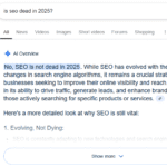 AI overviews and the shift in search – what matters for SEO